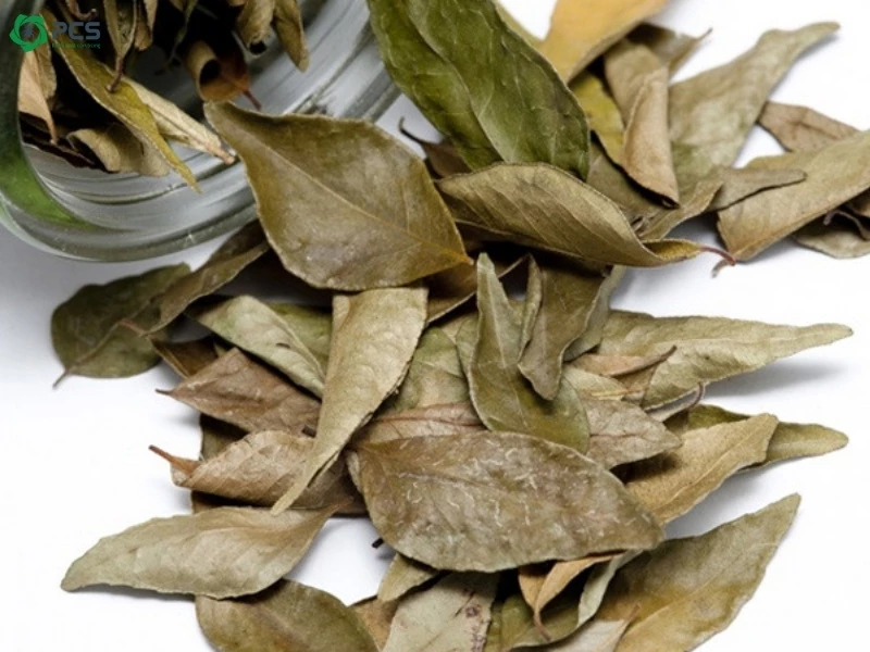 Cách tiêu diệt gián 